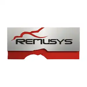 REMUSYS 2